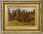 Near Donner